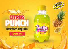 FRUTILIN MARACUYA GRANADILLA PIÑA (X15U)