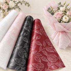 PAPEL  COREANO NV