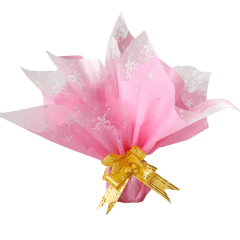 PAPEL COREANO CON BORDE TRANSPARENTE-DC1067