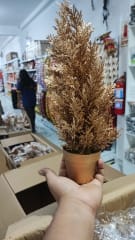 PINO  LIMON DECORATIVO  DORADO