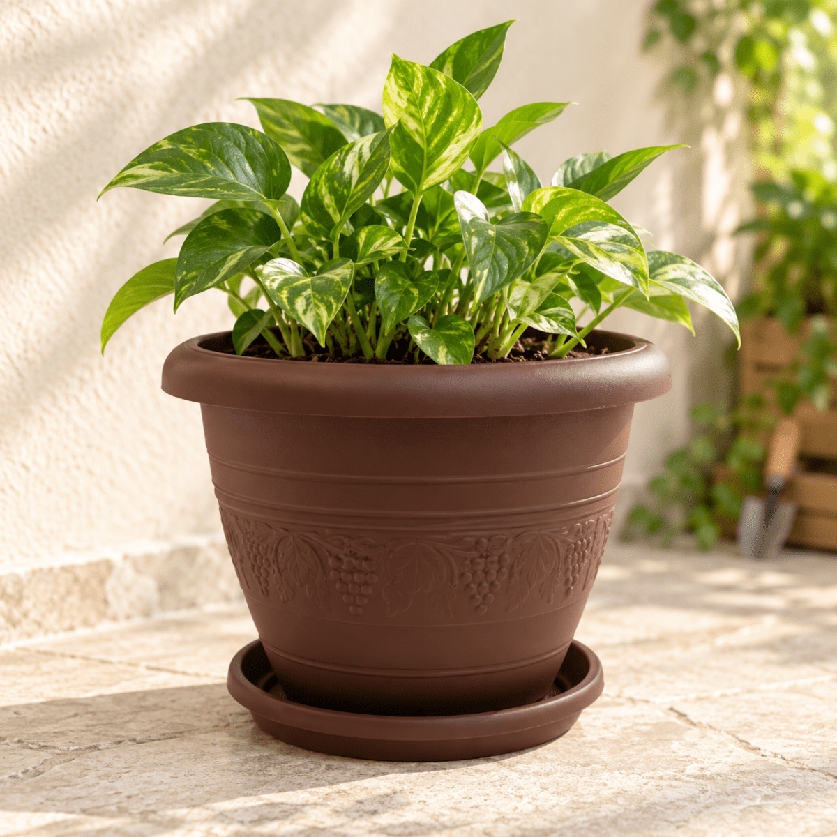 MACETERO MARRON 31.5  * 23.5 CM1