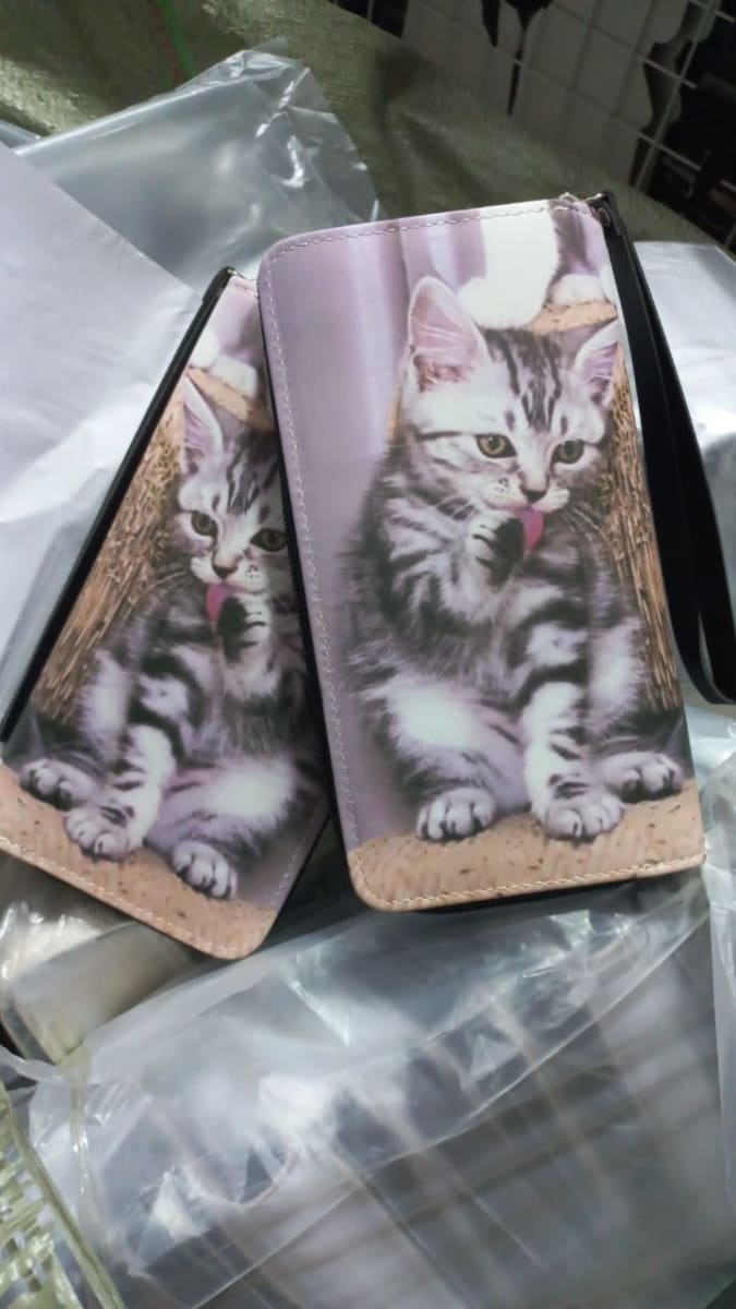 BILLETERA GATO1