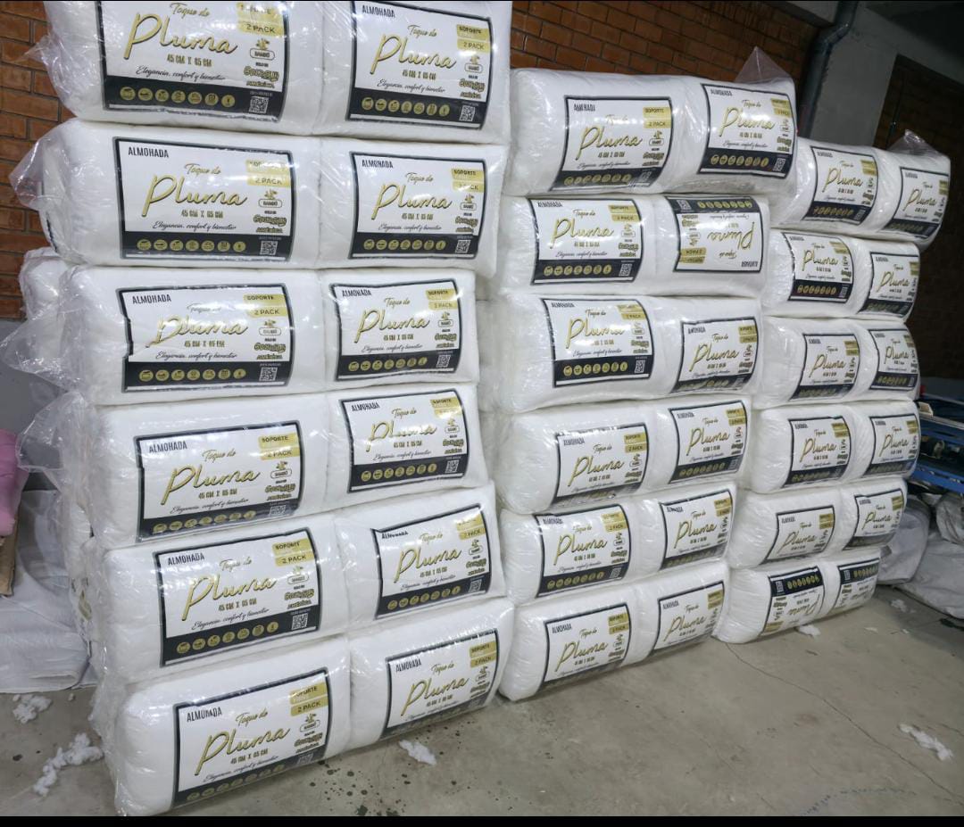 GOLSUN PAR  DE ALMOHADA TOKE PLUMA2