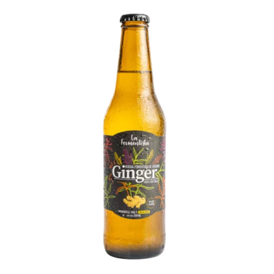 Ginger ? Bebida fermentada de jengibre con kéfir / La Fermentista1