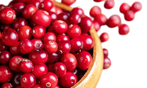 Cranberry1