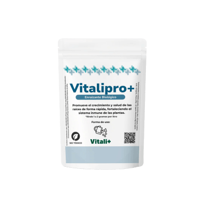 Vitali 20gr Vitalipro1