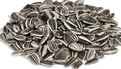 Semilla de Maravilla1