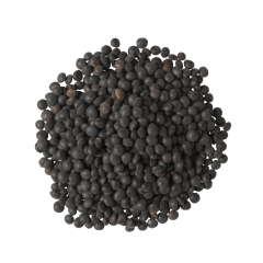 lenteja negra