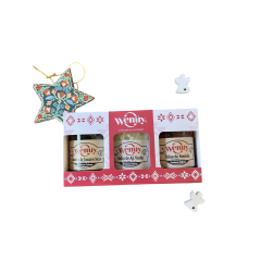 Mix 3 salsas / Wenuy