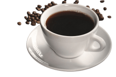 AMERICANO / Cafetería