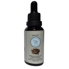 Don Champiñon Maitake