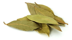 Laurel