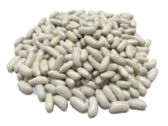 Poroto alubia granel