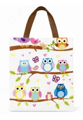 Bolsa Regalo Buho Med.Reutilizable Importada
