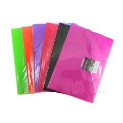 Carpeta Vinilo Con Elast Of Colores Mister Office