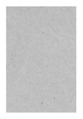 Carton Piedra 2.0mm 38x55cm Proarte