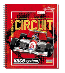 Pack 10 Cuad Univ 100h Autos Georgi