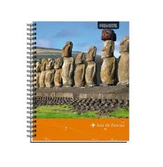 Cuad Univ Ciudades 100h Proarte