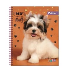 Cuad Univ Clasico Pets 100h Torre