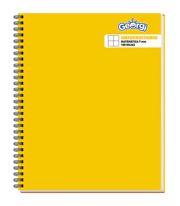 Pack 10 Cuad Univ 100h Colores Georgi1