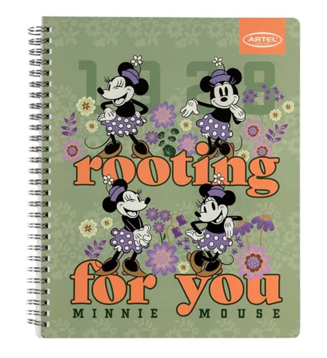 Pack 10 Cuad Univ Minnie Mouse Spring Artel1