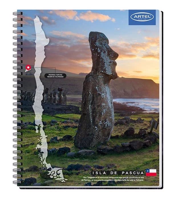 Pack 10 Cuad Univ Paisajes de Chile 100h Artel1