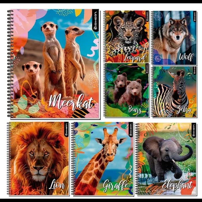 Pack 10 Cuad Univ Wilf Life 100h Rhein1