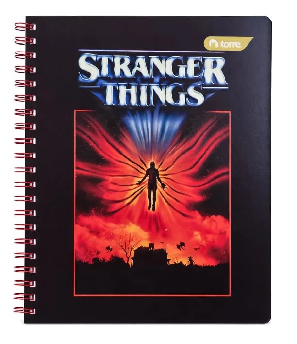 Pack 10 Cuad Univ Stranger Things Torre1