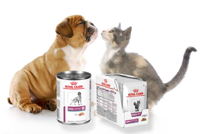 ¿Para qué sirve Royal Canin Renal Support?