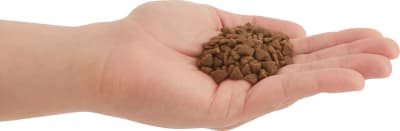 Acana Cat First Feast 1.8kg Acana Cat First Feast 1.8kg