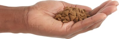 Acana Cat Indoor Entree 4.5kg Acana Cat Indoor Entree 4.5kg