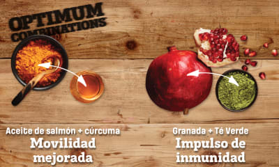 Nutram S10 Sound Balanced Wellness 2kg + 2KG GRATIS Nutram S10 Sound Balanced Wellness 2kg + 2KG GRATIS