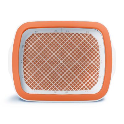 Baño Sanitario para Gatos Cateco Naranja Baño Sanitario para Gatos Cateco Naranja