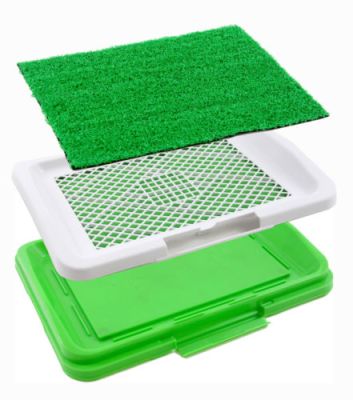 Baño Sanitario para Perros Cachorros Baño Sanitario para Perros Cachorros