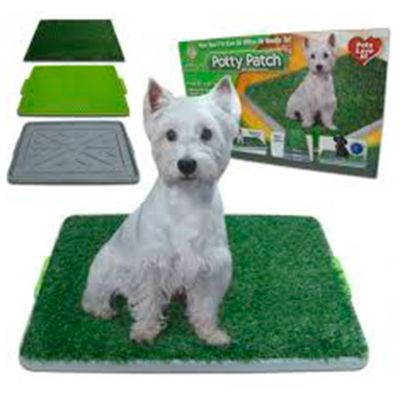 Baño Sanitario para Perros Pequeños Baño Sanitario para Perros Pequeños