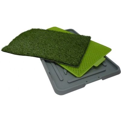 Baño Sanitario para Perros Pequeños Baño Sanitario para Perros Pequeños