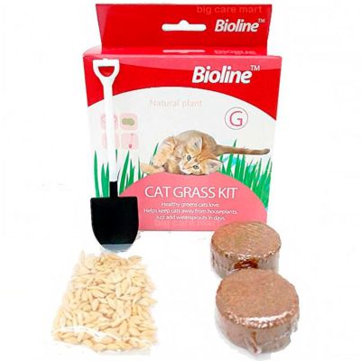 Bioline Kit de siembra hierba gatera 12gr Bioline Kit de siembra hierba gatera 12gr