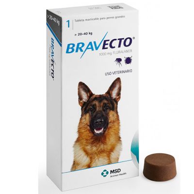 Bravecto 20 a 40kg Desparasitante Bravecto 20 a 40kg Desparasitante