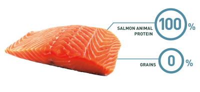 Bravery Salmon Adult Large Medium 4kg Bravery Salmon Adult Large Medium 4kg