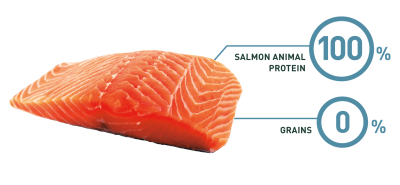 Bravery Salmon Adult Large Medium 12kg Bravery Salmon Adult Large Medium 12kg