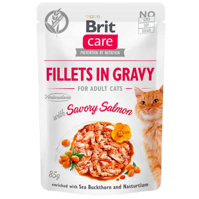 Brit Care Cat Fillets in Gravy Pouch Salmon 85gr Brit Care Cat Fillets in Gravy Pouch Salmon 85gr