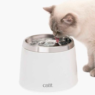 Cat it Fuente Bebedera de Acero Inoxidable 2Ltrs Cat it Fuente Bebedera de Acero Inoxidable 2Ltrs