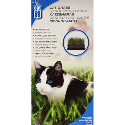 Cat It Pasto para Gatos Semillas Hierba gatera 75gr Cat It Pasto para Gatos Semillas Hierba gatera 75gr