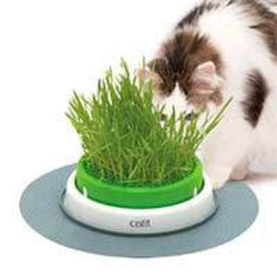 Cat it Senses 2.0 Grass Planter Cat it Senses 2.0 Grass Planter