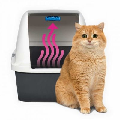 Cat it Magic Blue Cartucho Cat it Magic Blue Cartucho
