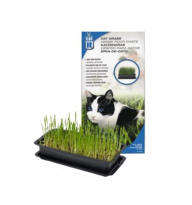 Cat It Pasto para Gatos Semillas Hierba gatera 75gr Cat It Pasto para Gatos Semillas Hierba gatera 75gr
