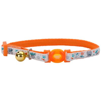 Coastal Glow In The Darck Collar Cat Coastal Glow In The Darck Collar Cat