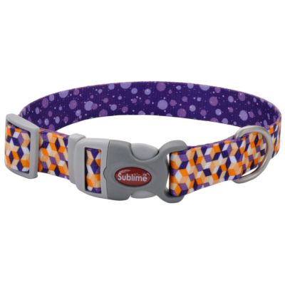Coastal Sublime Collar Cubes S/M Coastal Sublime Collar Cubes S/M