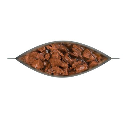 Dog Chow Adulto Carne 100gr Dog Chow Adulto Carne 100gr