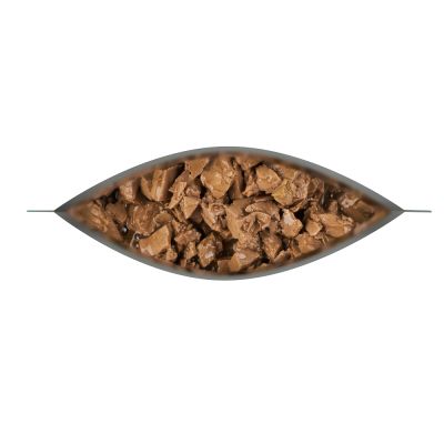 Dog Chow Adulto Pavo 100gr Dog Chow Adulto Pavo 100gr